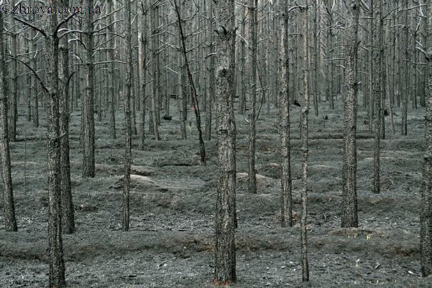 > <p>А что же на самом деле? По факту, солнце наказать как-то не получилось. Сильно уж оно высоко.