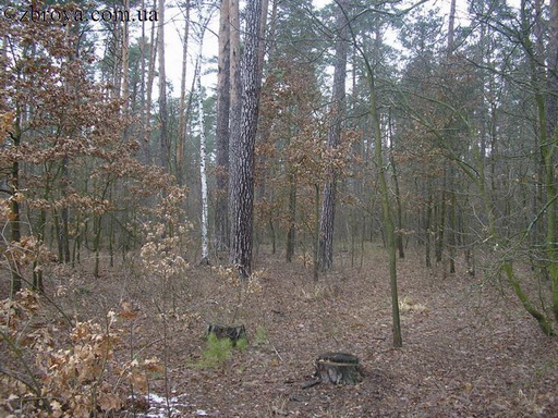 > <p>Иван Иванович — голубоглазый, круглолицый, подвижный, говорит отрывисто, кратко; Эдуард Викентьевич — высокий, статный с правильными чертами; Володя — с приставкой