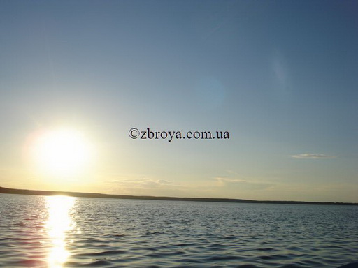 > <p>Неожиданно мое внимание привлек шелест крыльев, рассекающих воздух. Первоначально показалось, что виною этому долгожитель наших лесов ворон, по каким-то своим нуждам пролетающий над самыми верхушками сосен. Но, прислушавшись внимательнее, я понял, что звук доносится со значительно большей высоты, а, главное, он заметно отличается от привычных звуков, издаваемых крыльями ворона. К тому же слышались еще и протяжные, какие-то шипящие звуки. Все это несколько необычно воспринималось на слух.</p><p> Подняв голову, я с любопытством выискивал в глубине небосвода причину этого явления. Несколько секунд спустя я увидел в прорехах крон линейку больших крупных птиц.</p><p> — Гуси, — ударила в голову первая, но ошибочная мысль, так как тут же бросились в глаза их длинные вытянутые в полете шеи. — Лебеди! Да! Да!</p><p> Это лебеди шипуны на высоте от сорока до пятидесяти метров двигались на фоне голубой выси параллельно линии номеров, направляясь к востоку. Я порадовался за своих приятелей, которые тоже должны наблюдать этих птиц.</p><p> Не совсем обычным по времени года было появление этих благородных птиц над декабрьским лесом, когда земля укрыта уже белоснежным покрывалом, словно лебединым пухом, над которым властвует небольшой морозец. Лебеди в пронзительно прозрачном воздухе на аквамариновом фоне контрастно высвечивались солнцем. Незабываемая картина!</p><p> Судя по направлению полета, они явно стремились к главной водной артерии — Днепру. Именно там проходит основная магистраль, или как говорят охотники — труба, по которой многие водоплавающие отходят к югу на зимние квартиры.</p><p> Проводив их взглядом, я еще некоторое время прислушивался к удаляющимся звукам. До самого вечера у меня в душе оставалась песня их полета, исполненная, как это и положено шипунам, шепотом. У каждого своя музыка.</p><p> А чуть позже, как и предсказывала интуиция, на мой номер вышла небольшая семейка кабанов. Матка, проведя подсвинков сквозь довольно густой подлесок, в сорока метрах от меня пересекала линию номеров. Пропустив их за линию стрелков, я вывел мушкой третьего подсвинка и отдал ружью команду, нажав спусковой крючок...</p><p> Я был настолько уверен в успехе, что не поспешил со вторым выстрелом.</p><p> Но моя пуля пощадила подсвинка. Такая досада! Так подпортил друзьям охоту! Правда, скажу вам, что с годами ценности меняются, охота становится не только целенаправленной добычей трофея. Основному процессу сопутствует много интересного. И после встречи с лебедями, этот промах для меня казался уже не такой уж трагедией.</p><p> Когда собрались вместе после этого курьезного загона, поддерживая меня морально и реабилитируя перед друзьями, охотовед Лободзинский Александр Адольфович сказал: 