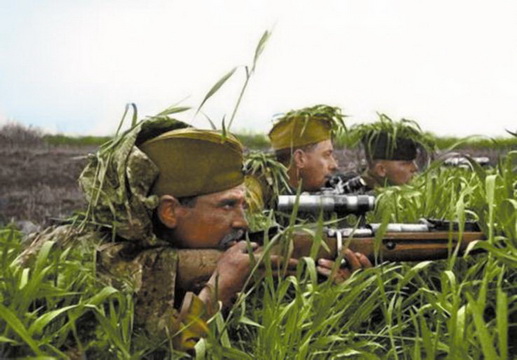 Вооружение снайпера