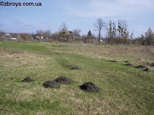 Весенняя пора