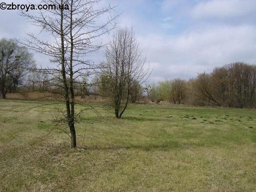 Весенняя пора