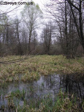 Весенняя пора