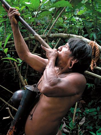 Духовая трубка