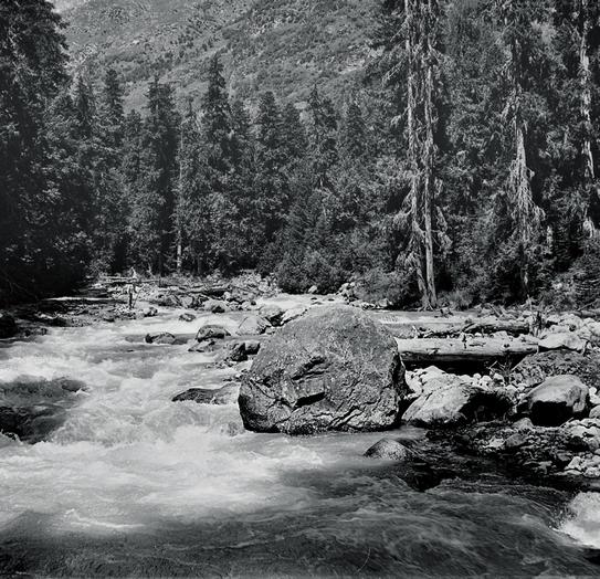 В горах Теберды