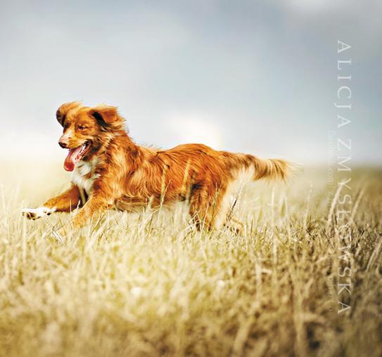 Радости и печали