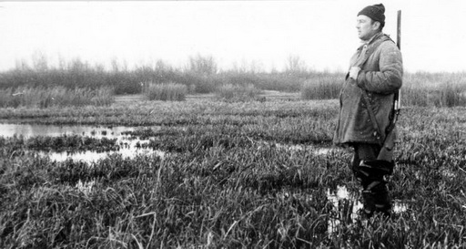 На Шиляговке